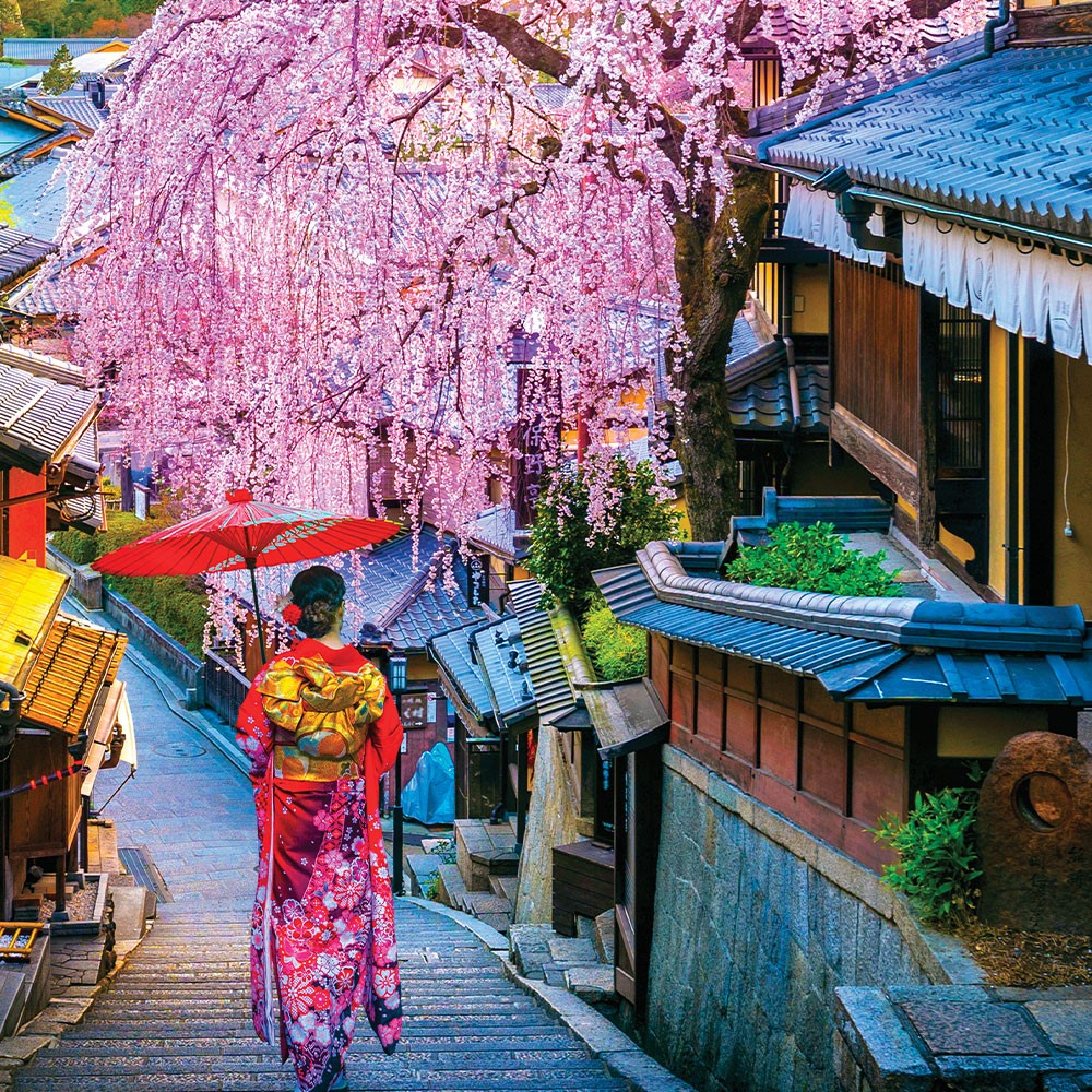 2026 Cherry Blossom Japan Tour, Lock in at 2025 Prices Now!